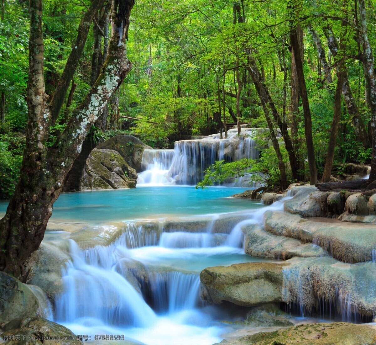 森林风景图片 自然景观 森林风景 行道树 行道树风景 自然风景 唯美风景 风景 风景图片 风景壁纸 大自然风景 自然风光 大自然风光 唯美图片 唯美壁纸 创意图片 植物 植物图片 绿色植物 花草树木 电脑壁纸 美景 美景图片 美景壁纸 旅游风景 森林 森林景观 森林植物