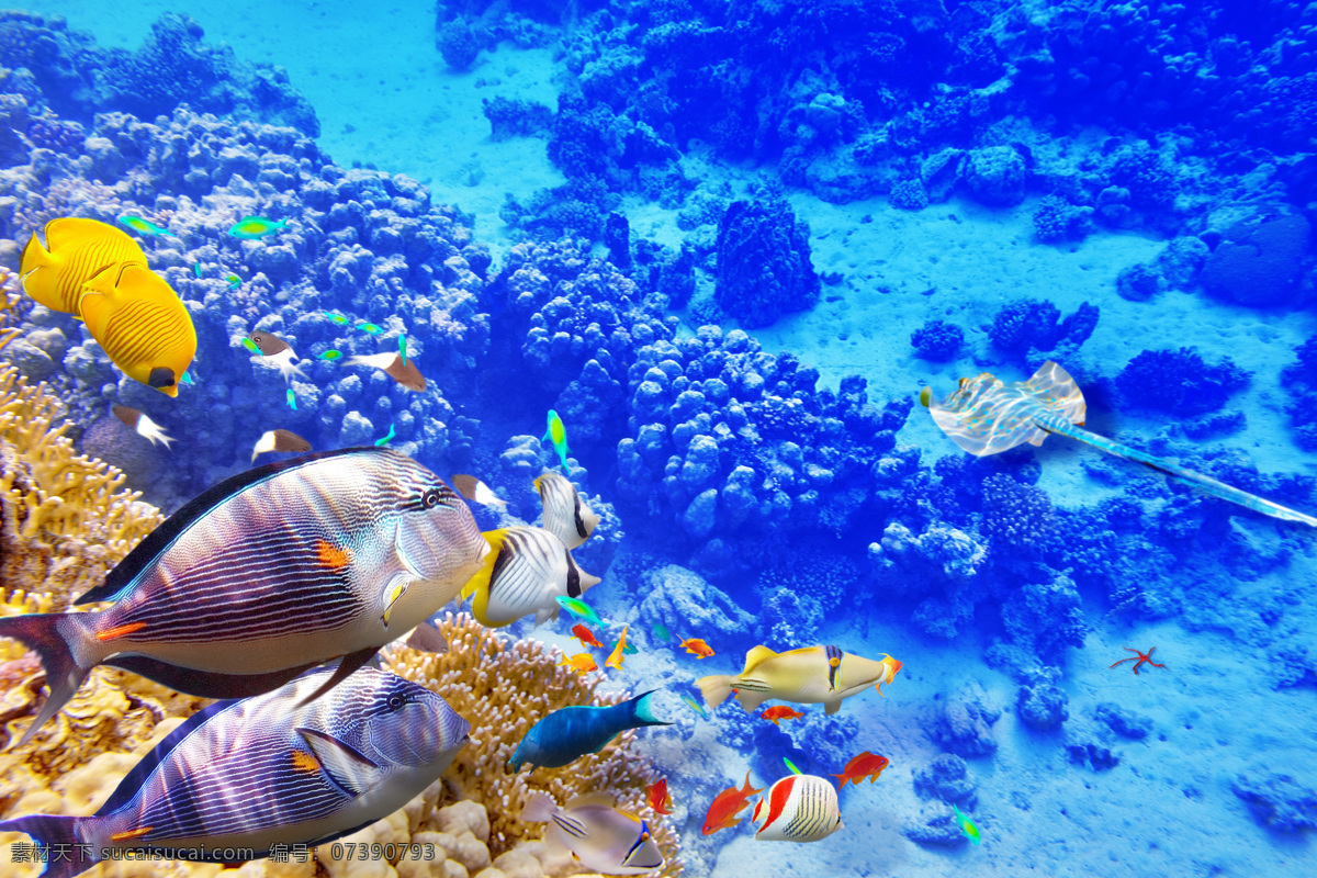 美丽 蓝色 海底 世界 海洋海边 自然风光 海底世界 海洋生物 蓝色海底 珊瑚 鱼群 海水 自然景观