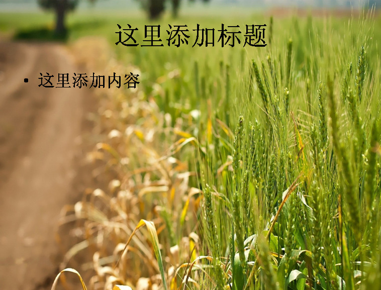 乡间 小路 风景 高清 ppt7 自然风景 风景ppt 风景图片 迷人景色 电脑 护眼ppt 模板