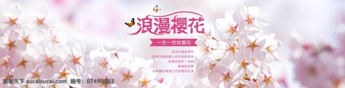 banner 灿烂 春 季节 浪漫 浪漫樱花 其他模板 网页模板 樱花 模板下载 源文件 网页素材