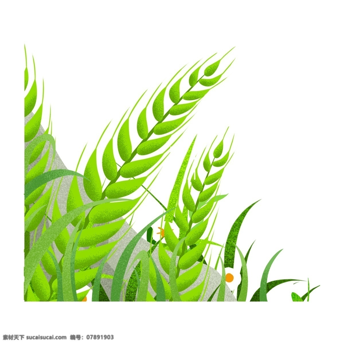 手绘 插画 绿叶 植物 清雅 免扣素材 透明素材 绿色 小草
