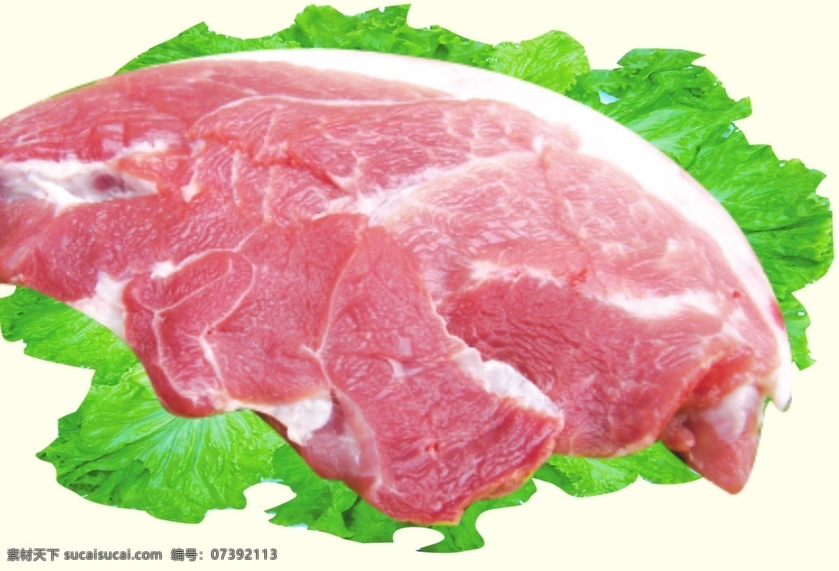 生鲜猪肉图片 生鲜猪肉 生鲜 猪肉 肉 生肉