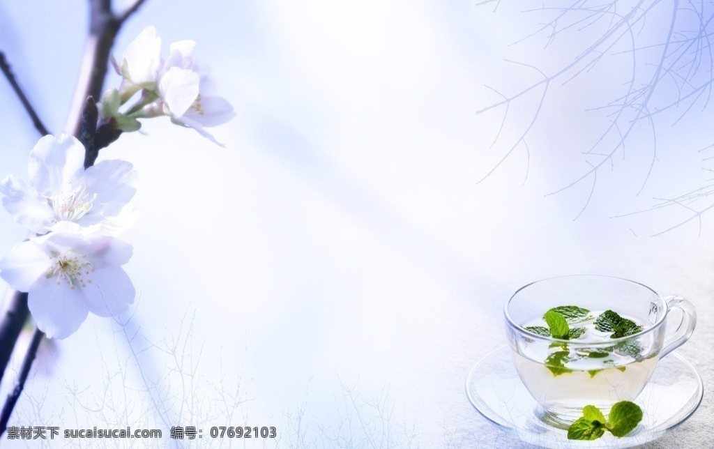 菊花茶 美容spa 水疗 香薰 花茶 沐浴液 美容 spa 护理 花瓣 洗刷 淋浴用品 女性美容 背景底纹 底纹边框