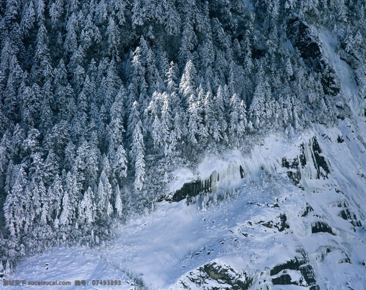 白雪 覆盖 树林 横构图 高空拍摄 白雪皑皑 白雪覆盖 积雪 雪地 树木 森林 冬季 冬日 冬天 寒冷 冬景 风景 高清风景图片 高清图片 山水风景 风景图片