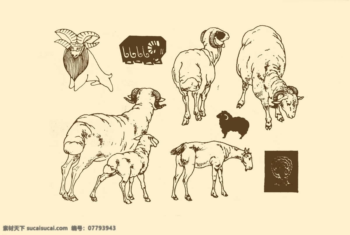 动物图案 羊 卡通 动物 纹样 图案 白描 简笔画 儿童画 山羊 分层 源文件