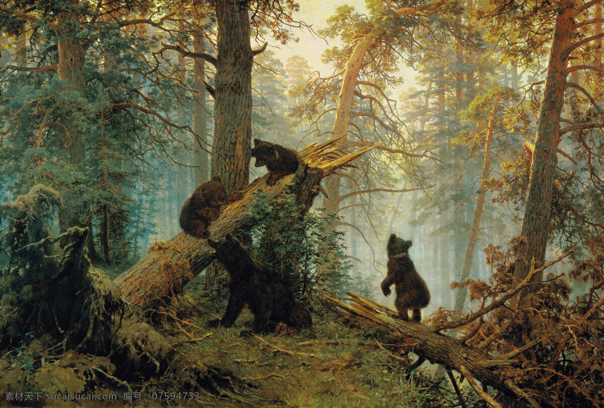 松树林的早晨 希施金 森林歌手 俄罗斯风景画 巡回展派 熊 超写实风景画 希施金代表作 绘画书法 文化艺术