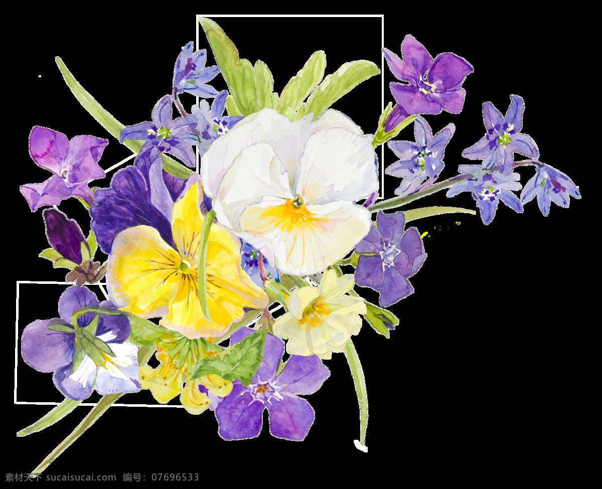 黄白色 花朵 植物 水彩 手绘 透明 卡通 透明素材 免扣素材 装饰图案