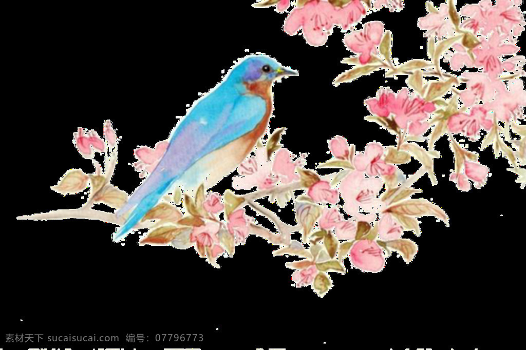 手绘 春天 景象 透明 装饰 png素材 粉色 花朵 蓝色 免扣素材 生机盎然 喜鹊