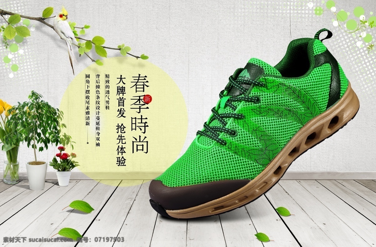 美丽的鞋 美丽 白色