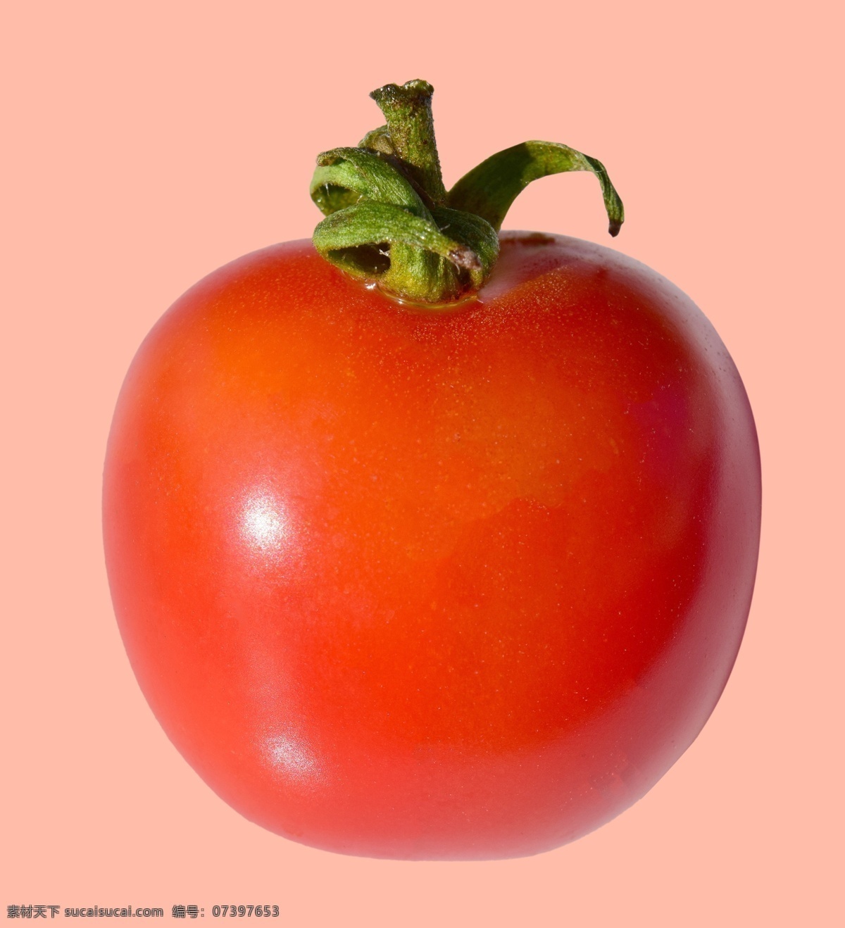 西红柿图片 西红柿 柿子 蔬菜 果蔬 生活百科 餐饮美食