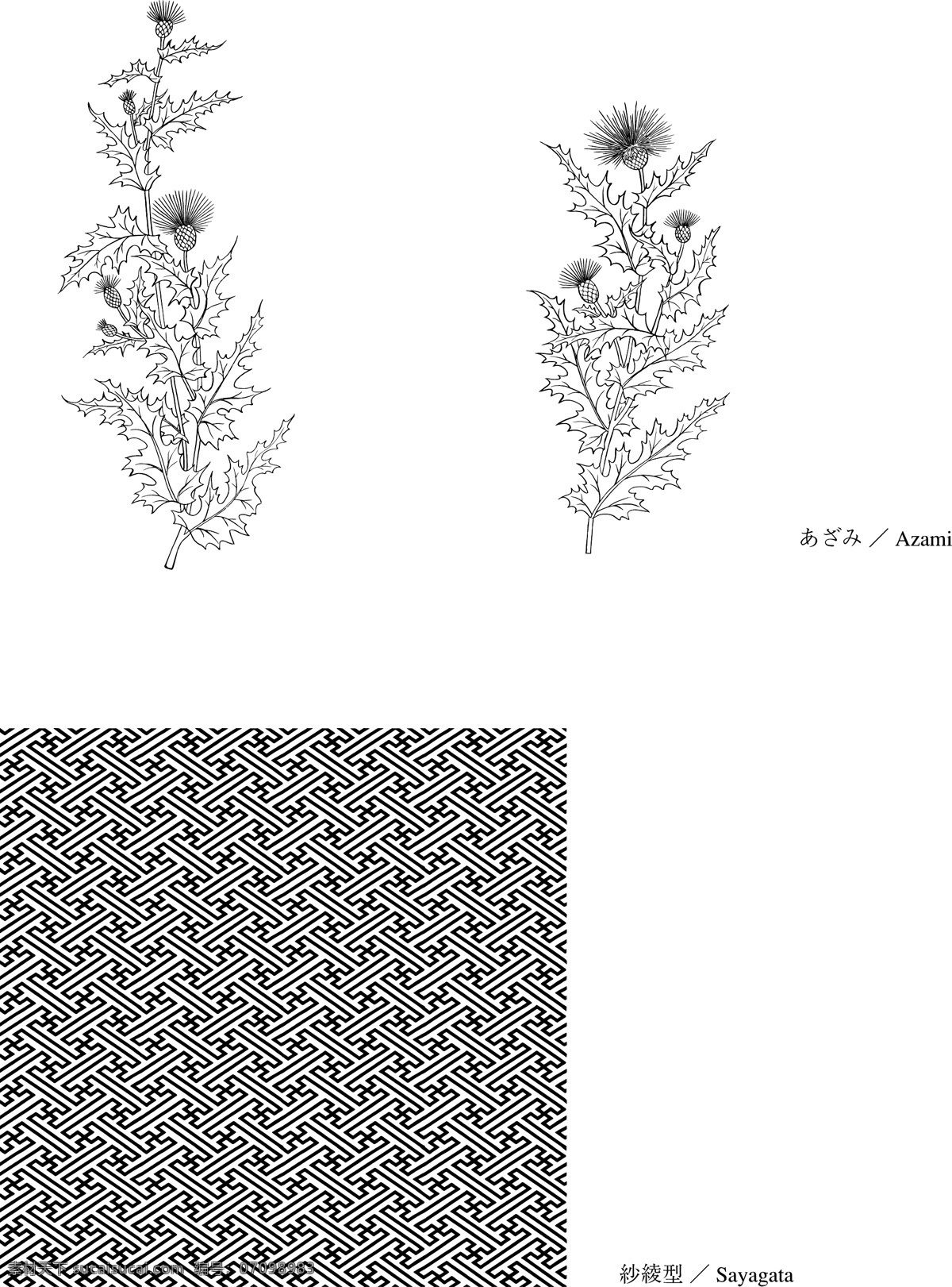 线描 azami 矢量 矢量素材 花卉 线描花卉 矢量花卉 实用素材 底纹边框 花边花纹 线描矢量素材 白色