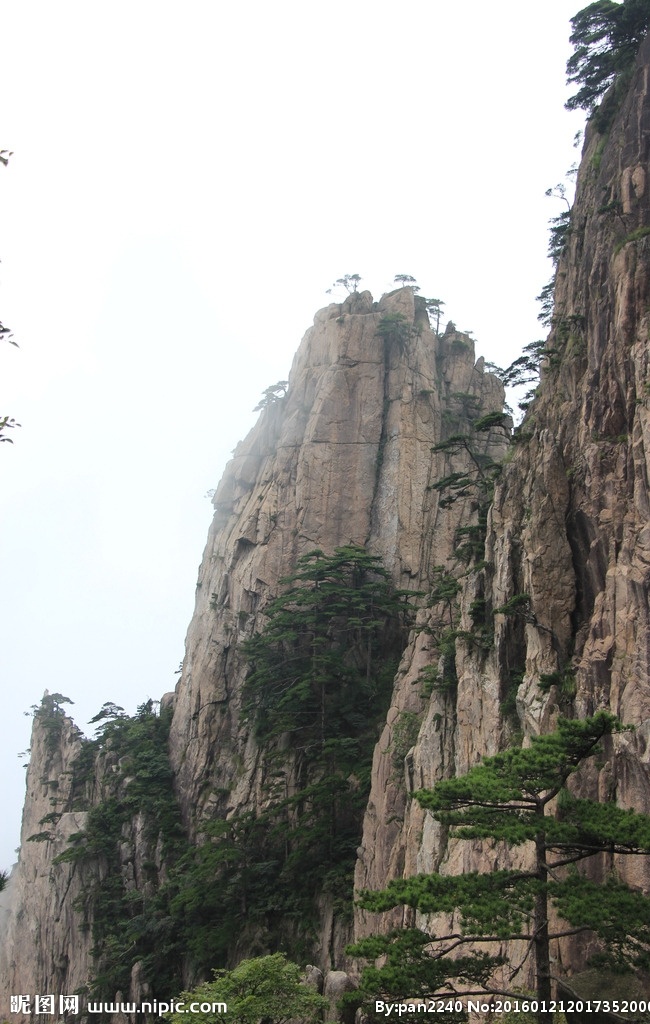 黄山 黄山风光摄影 冬天黄山 名山大川 地质公园 奇松怪山 松树 安微黄山宏村 自然景观 山水风景