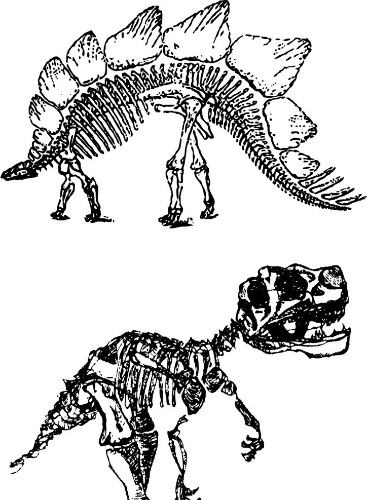 恐龙图 恐龙 轮廓 线条 素描 史前生物 其他生物 生物世界 矢量