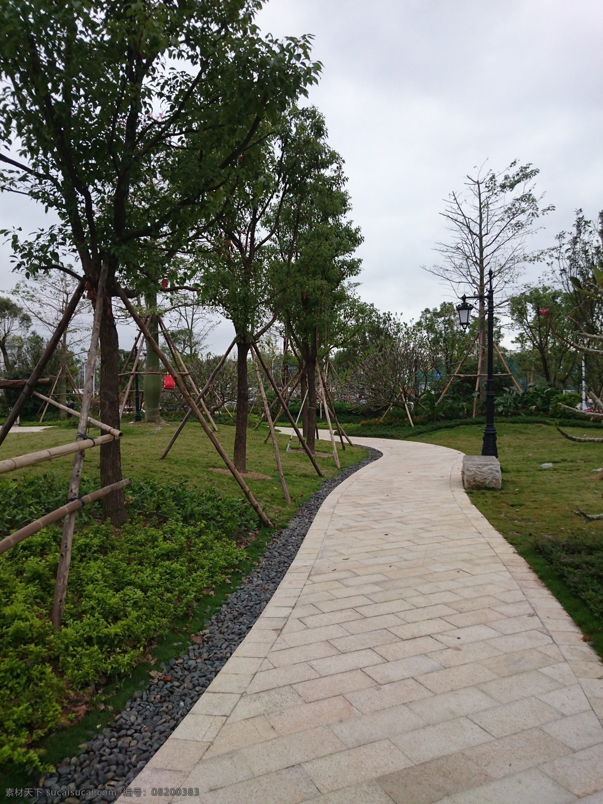 绿化小路 广场 绿化 小路 小道 休闲 散步 建筑 节日 风景 自然景观 自然风景