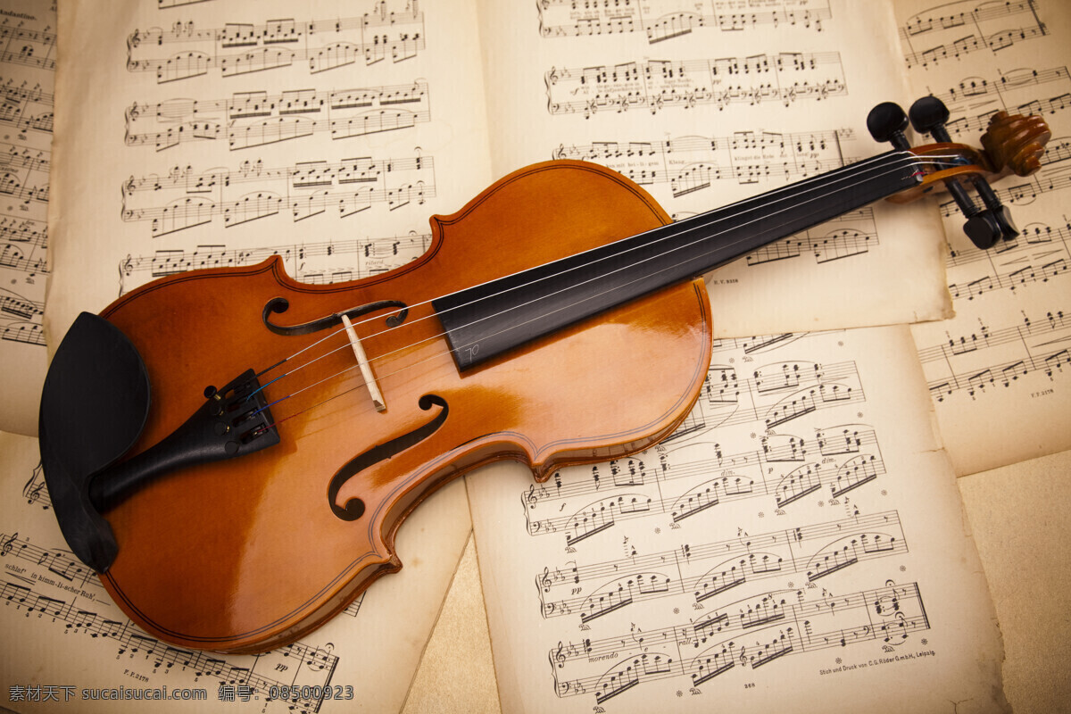 乐谱 上 小提琴 音乐器材 乐器 西洋乐器 影音娱乐 生活百科