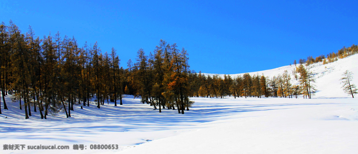 喀纳斯风景 新疆 阿勒泰地区 国家 著名 旅游胜地 冬季 雪地 蓝天 树木 林带 山脉 风景 新疆风光 自然风景 旅游摄影