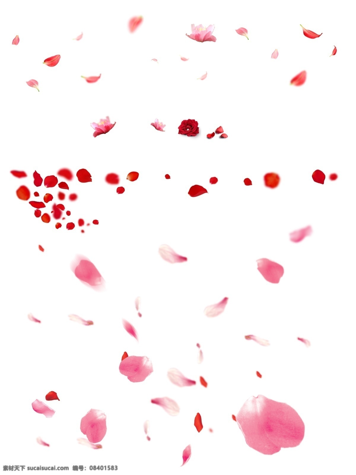 矢量花瓣 矢量花瓣素材 花瓣 红色花瓣素材 鲜花花瓣 玫瑰花瓣 飞舞的花瓣 动感花瓣 梦幻 粉色花瓣 鲜花 樱花 飘落 桃花 飘零花瓣 精美花瓣 花瓣素材 精美花瓣素材 花瓣背景 玫瑰花