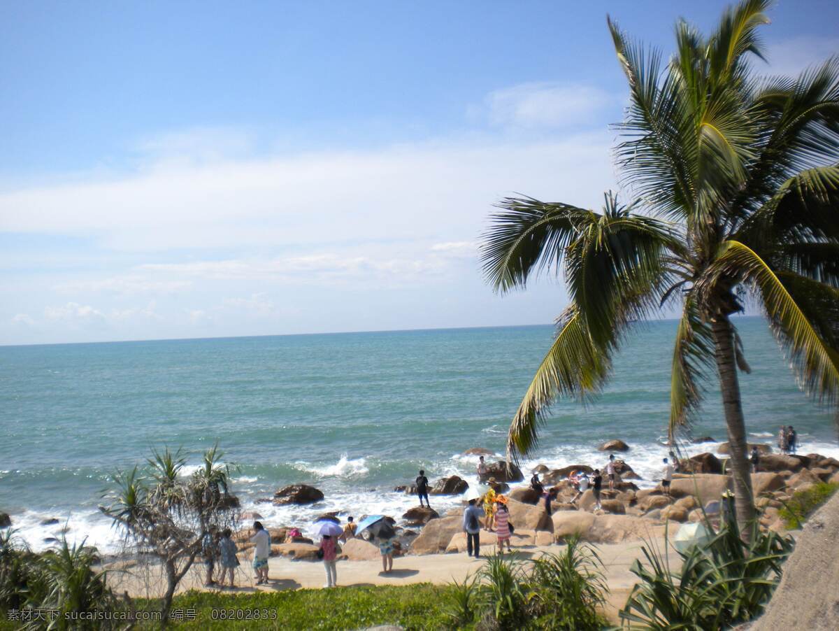 海南 风景 国内旅游 海水 蓝天 旅游 旅游摄影 三亚 南 树 游艇 生活 旅游餐饮