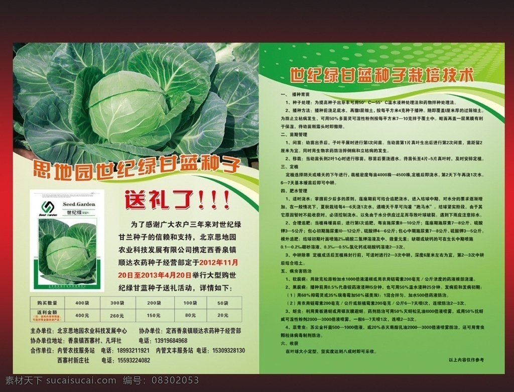 思 园 甘蓝 种子 宣传 彩 思地园 甘蓝种子 包菜 种子栽培 育苗 dm宣传单 广告设计模板 源文件