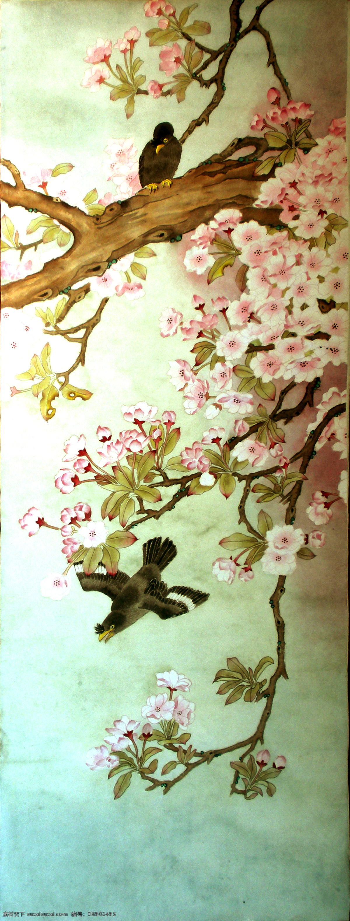 艳 春 彩色 工笔 绘画书法 条幅 文化艺术 樱花 原创 艳春设计素材 艳春模板下载 艳春 八哥