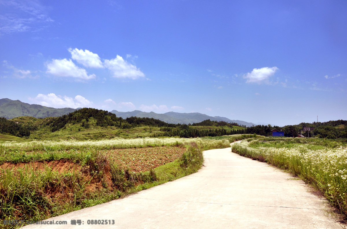乡村免费下载 白云 蓝天 山坡 小路 野草 野菊花 风景 生活 旅游餐饮