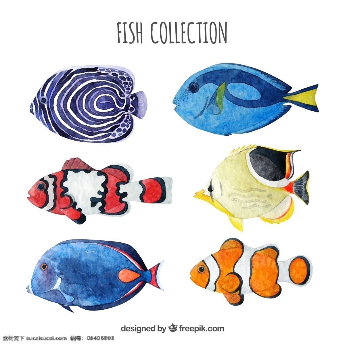 款 水彩 绘 鱼类 矢量 小丑鱼 鱼 海洋 水彩绘鱼类 文化艺术 绘画书法