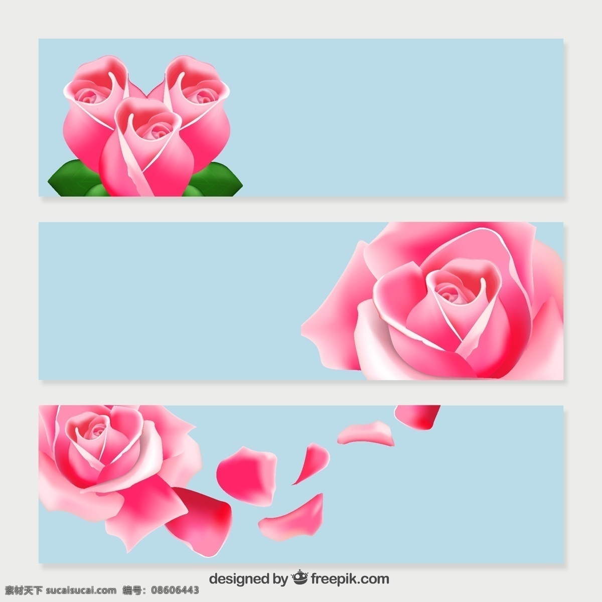 款 粉色 玫瑰 banner 3款 植物 广告 白色