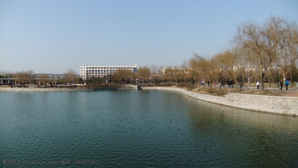 大学 校园 冬天 校园风景 青岛农业大学 小湖 风景 生活 旅游餐饮