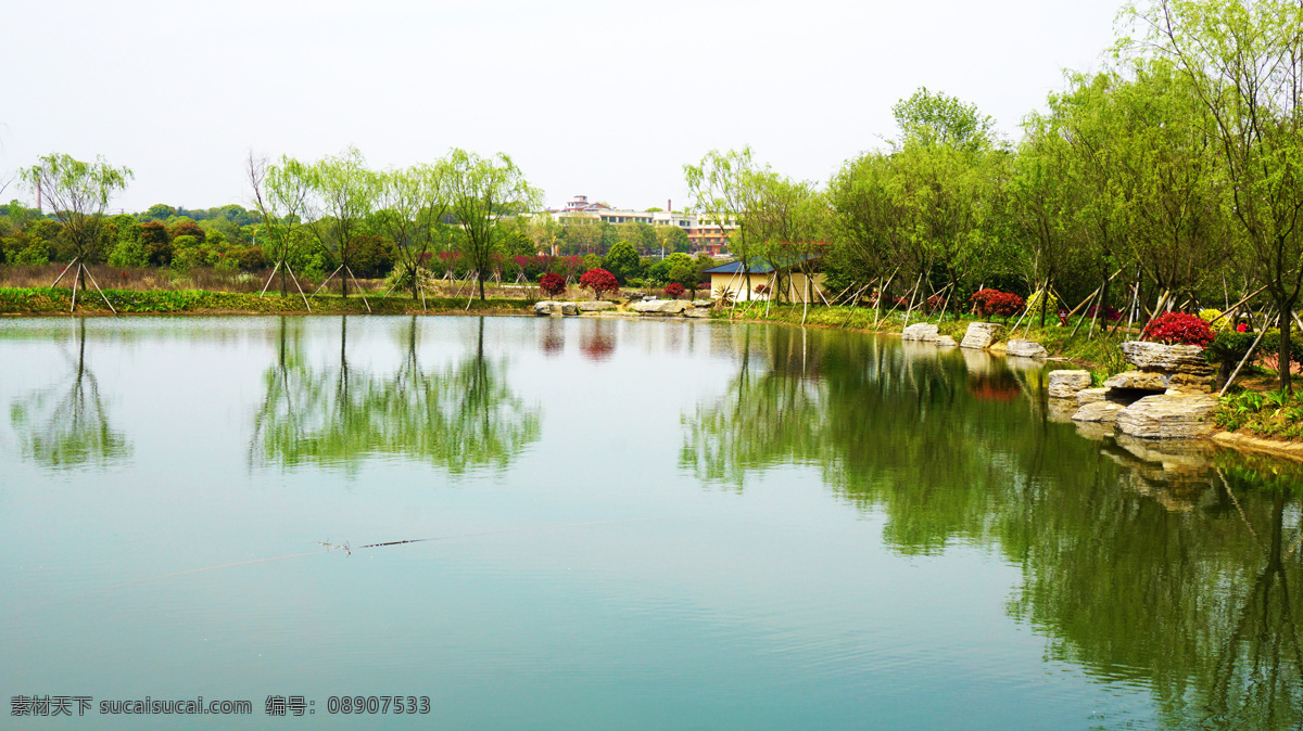 公园水景 长沙市 望城区 玉湖公园 风景 风光 旅游摄影 国内旅游