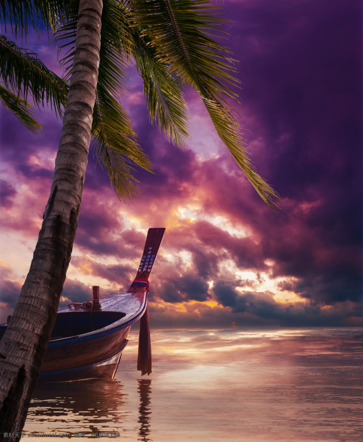 椰树 游船 海岸风景 大海 海洋风景 海平面 美丽风景 风景摄影 美丽风光 自然美景 美丽景色 大海图片 风景图片