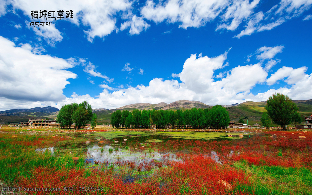 蓝天红草地 稻城亚丁 稻城 亚丁 风景 秋色 蓝天 红叶 四川美景 色 风光 自然风光 草原 草原风光 红草地 高原植被 宏源图库 自然景观 山水风景