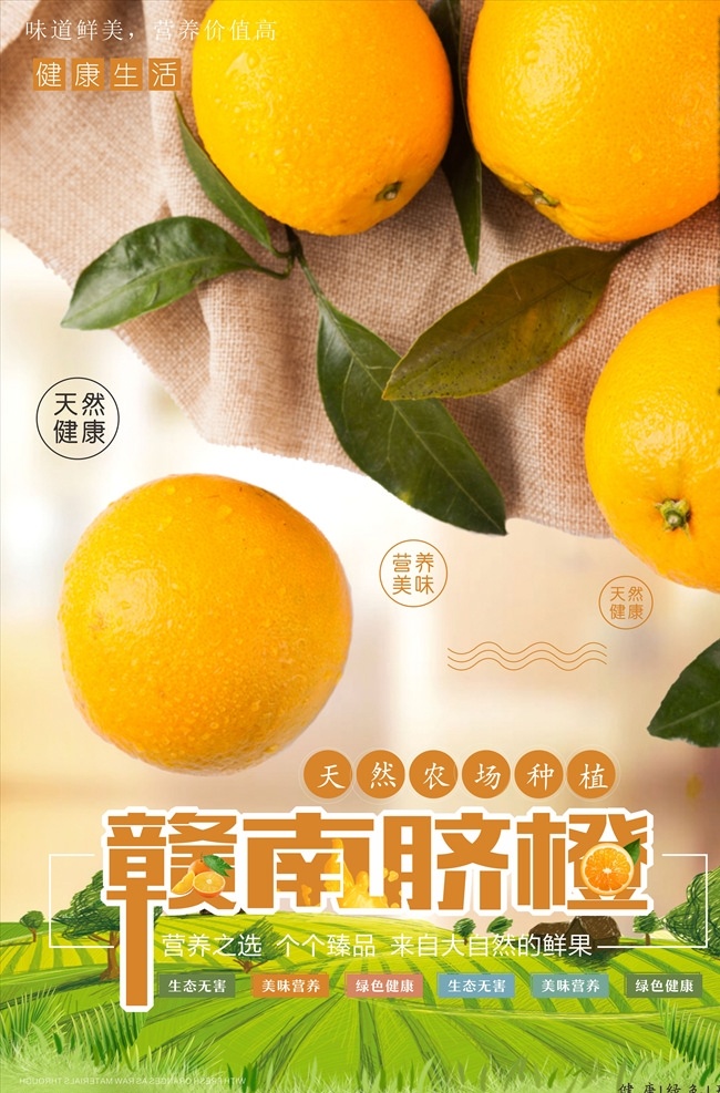 赣南脐橙 赣州脐橙 赣南橙子 橙子 橙子海报 橙子展架 脐橙广告 脐橙包装 水果海报 水果展架 脐橙采摘 脐橙展架 新鲜橙子 橙子包装 橙子广告 橙子种植 水果 橘子展板 水果展板 水果店海报 水果店展架 水果超市 超市海报 水果广告 水果挂画 水果店 创意水果 水果店展板 有机水果 美食
