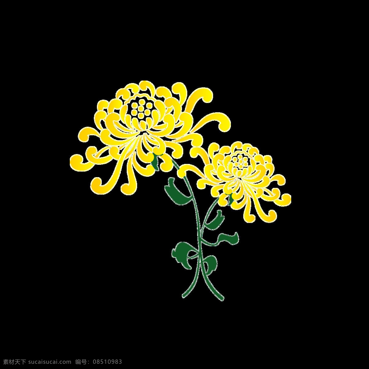 明媚 黄色 手绘 菊花 装饰 元素 绿植 植物 装饰元素