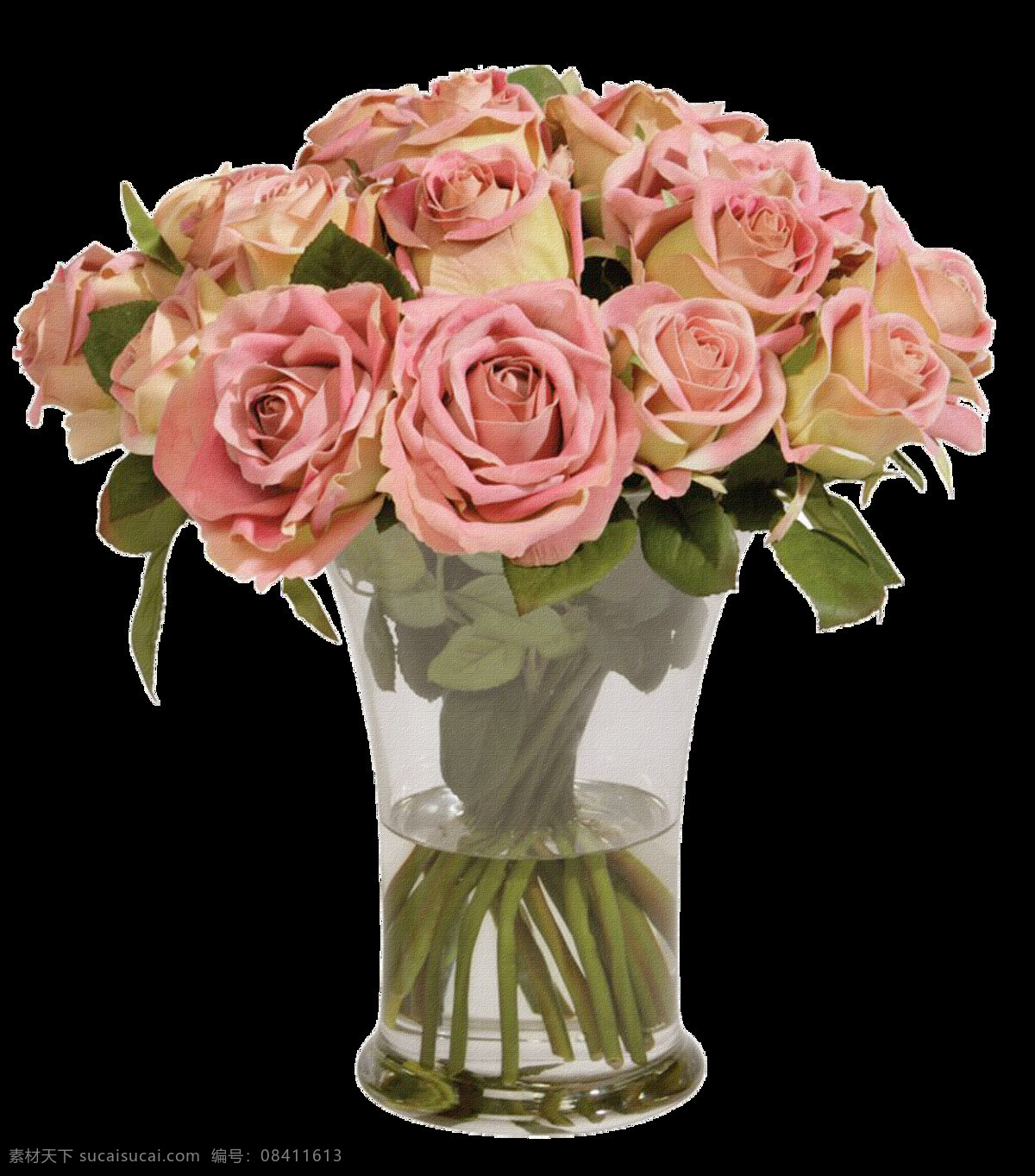 美丽 盛开 粉色 玫瑰花 花朵 花束 实物 元素 花枝 实物元素 装扮