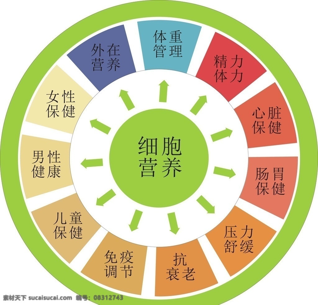 细胞 营养 分布图 细胞营养 养生 膳食 健康 人群 矢量