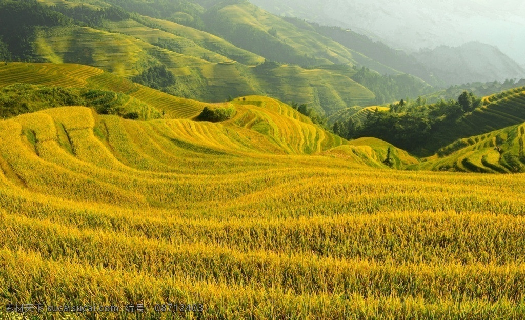 梯田风光 桂林 梯田 风景 风光 自然 大自然 稻田 田园风光 自然景观