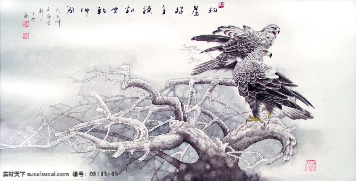 国画艺术 绘画 绘画书法 旷野 老鹰 美术 书法 雄鹰设计素材 雄鹰模板下载 雄鹰 中国画 工笔重彩画 鹰 猛禽 树木 树枝 印章 国画集28 文化艺术 装饰素材 雕刻 图案