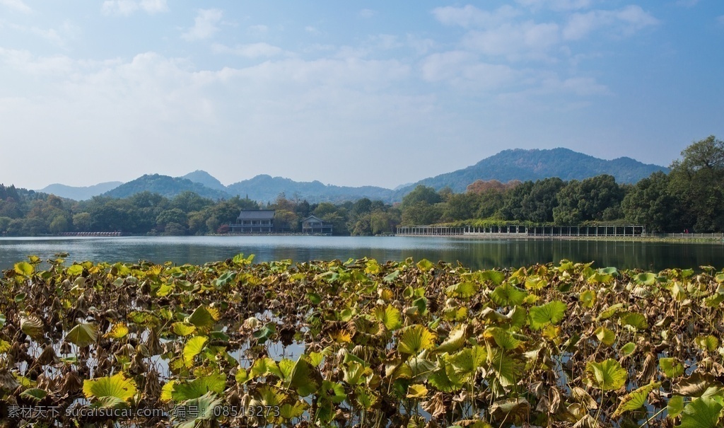 西湖图片 西湖 杭州西湖 世界遗产 5a 浙江 杭州 风光摄影 旅游摄影 国内旅游