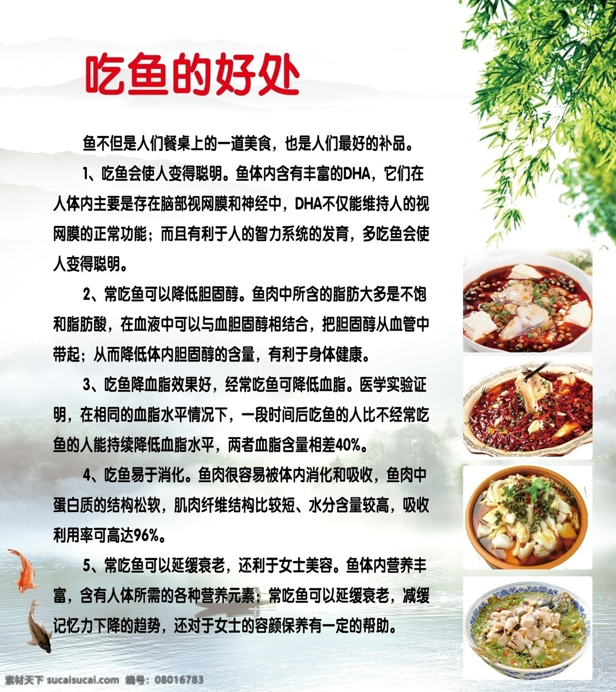 吃鱼的好处 酸菜鱼 水煮鱼 豆瓣鱼 麻辣鱼 家常鱼 生活百科 餐饮美食