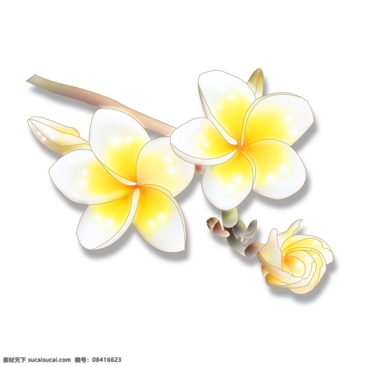 三 朵 黄白色 花朵 春暖花开 绿叶 插花 香薰 高贵 热情奔放 小清新 文艺范