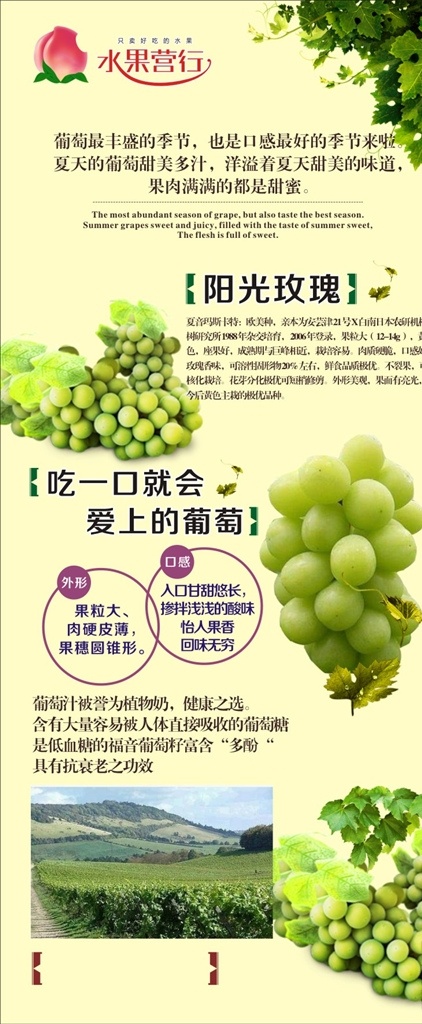 水果营行 展架 葡萄海报 葡萄 海报 葡萄展架 易拉宝x展架 农产品海报 葡萄广告 食品展板 美食展架