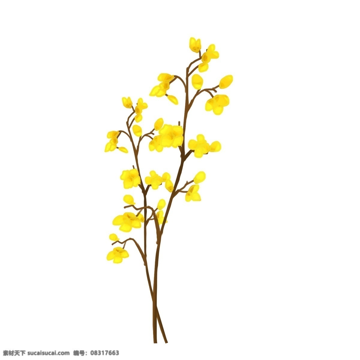 手绘 花卉 彩色 卡通 免抠 透明底 无背景 原创 平面设计 装饰设计 插画 装饰 小清新 通用
