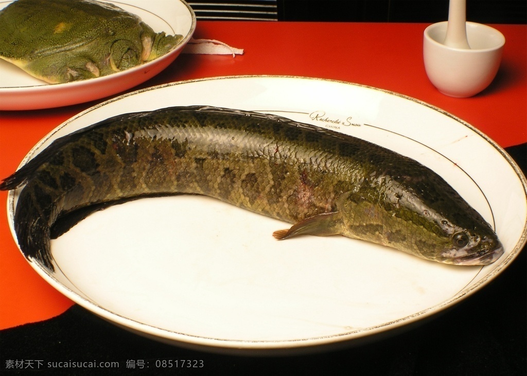 野生黑鱼 美食 传统美食 餐饮美食 高清菜谱用图