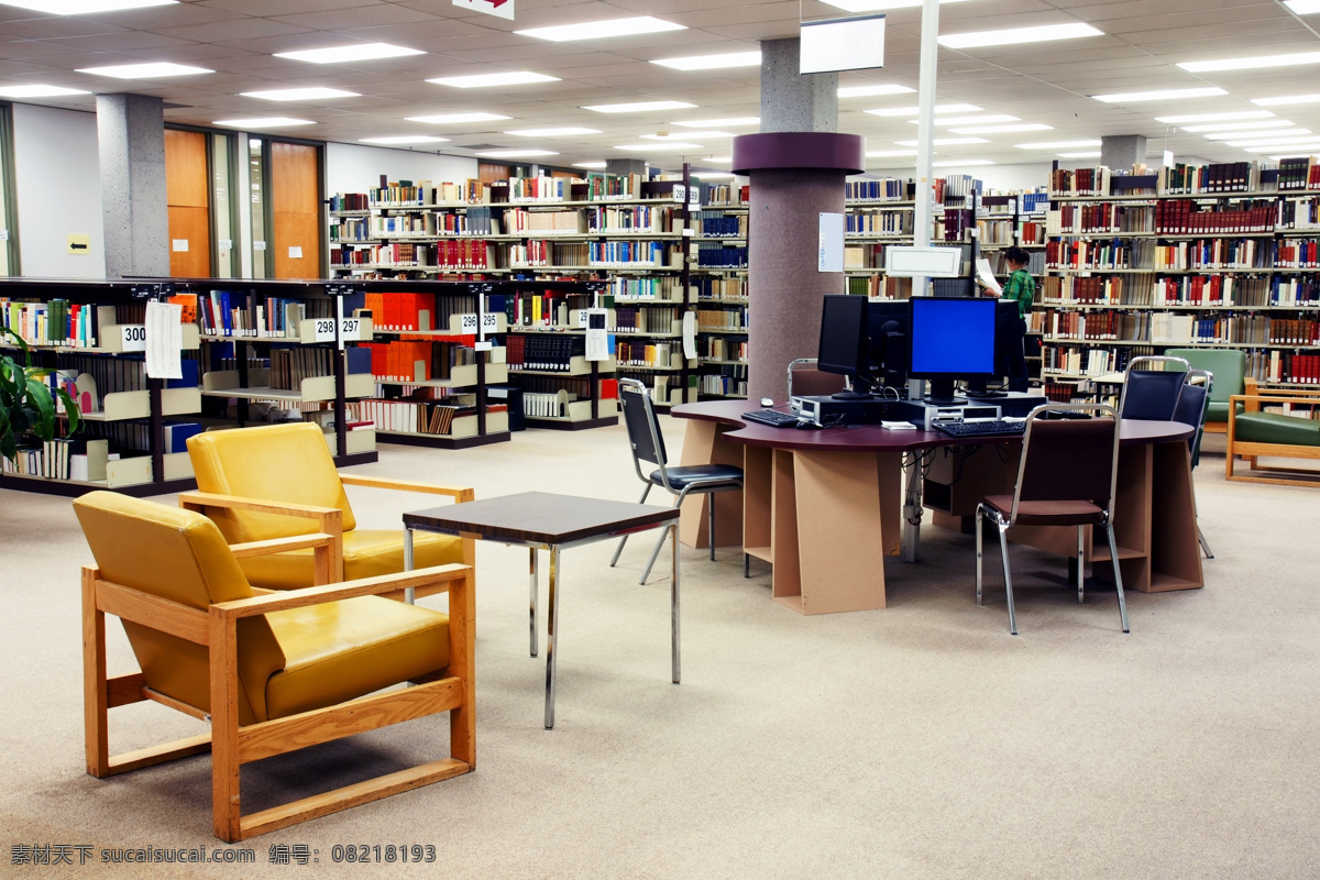 图书室 布局 图书馆设计 阅览馆 图书馆 书房 书籍 书本 典籍 书架 经典图书馆 室内设计 环境家居