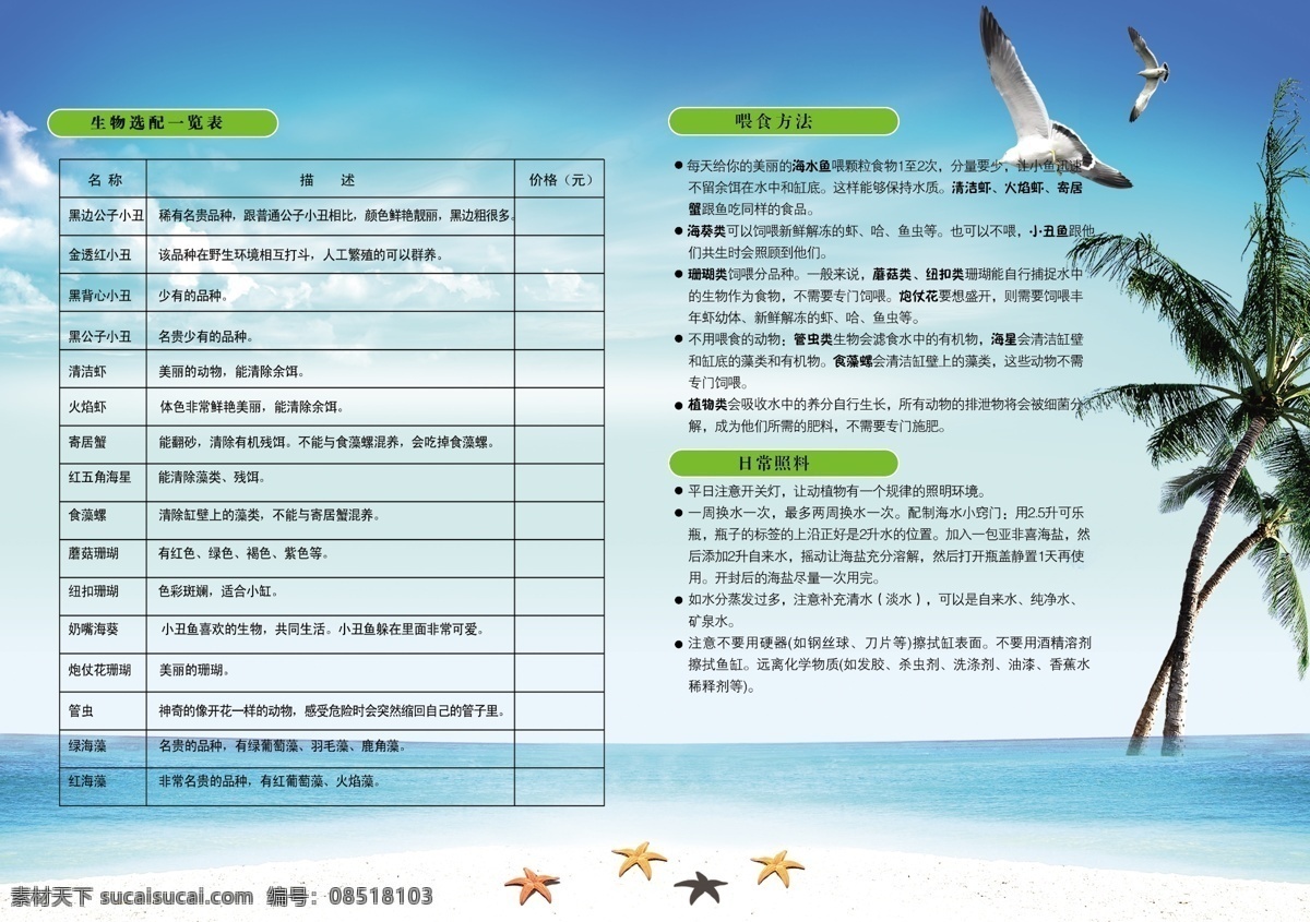 分层 海鸥 海水 海滩 海星 蓝天白云 椰子树 源文件 水鱼 海报 鱼 模板下载 海水鱼海报 室内 养殖 彩页 背面 其他海报设计