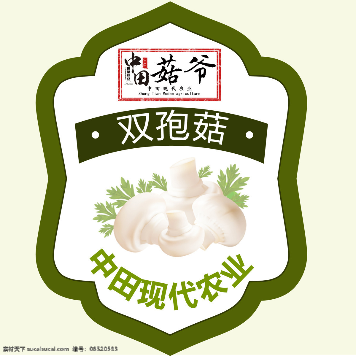 中田 双孢菇 产品 贴 中田现代农业 礼品贴 绿色食品 食品