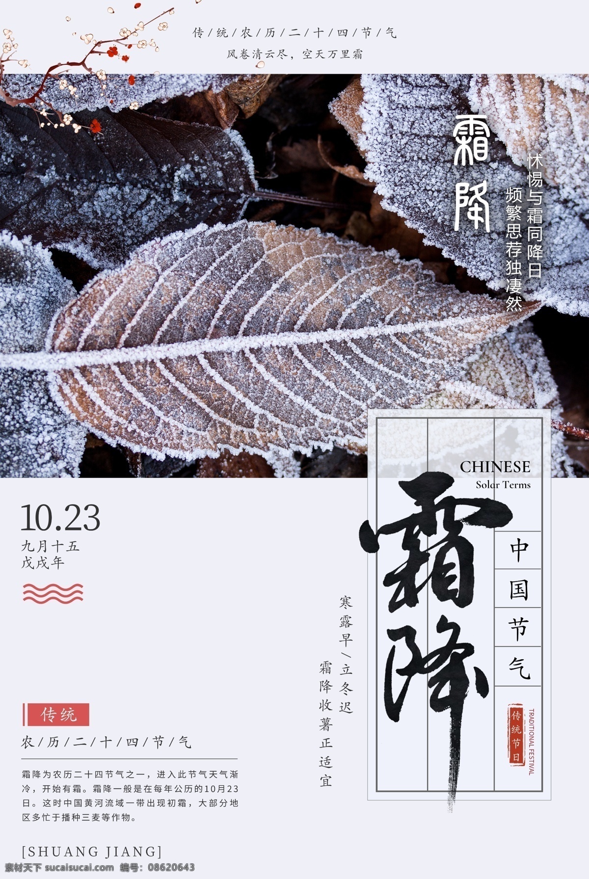 传统 节气 霜降 海报 二十四节气 枫叶 秋天 冬天 霜降海报 霜降背景 秋季下霜 下霜 香山红叶 寒霜 农历霜降 霜降节气 节气海报 霜降宣传海报 霜降节气海报