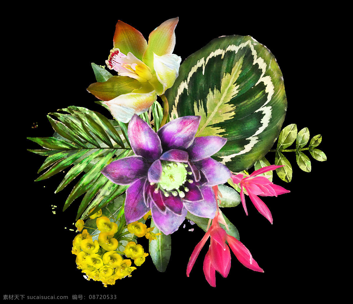 水彩 彩绘 花卉 花草 透明 荷花 红花 菊花 绿叶 免扣素材 透明素材 装饰图片