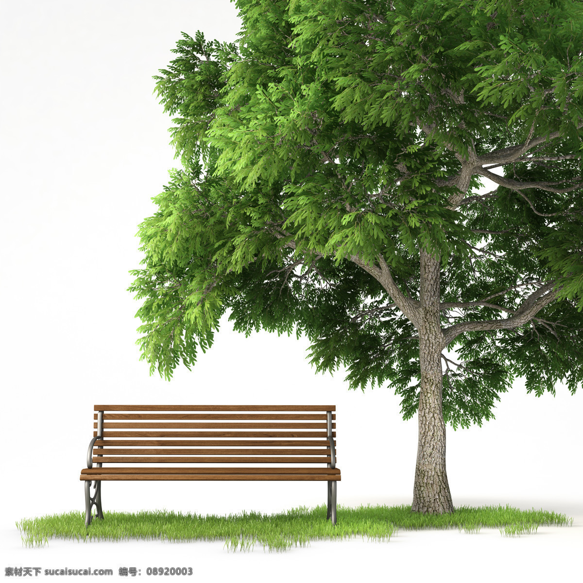 大树 椅子 景观 效果 后期 处理 树木 植物后期素材 园林景观效果 景观设计 环艺设计 园林景观 环境设计 花草树木 生物世界