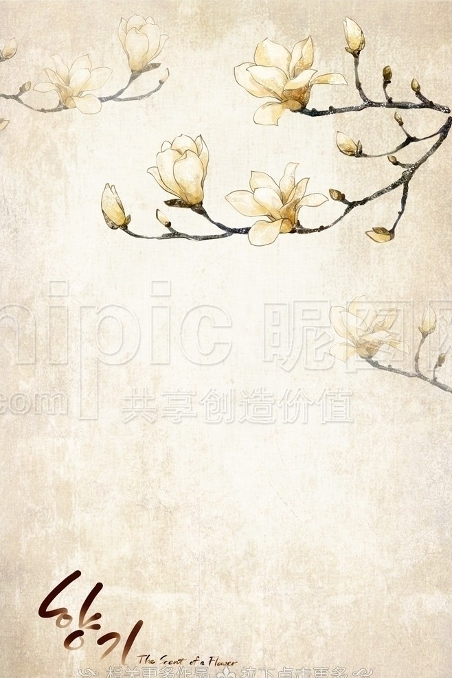 手绘白玉兰 白玉兰 白玉兰插画 手绘花卉 手绘花朵 手绘鲜花 花卉插画 花插画 手绘花卉插画 分层 源文件